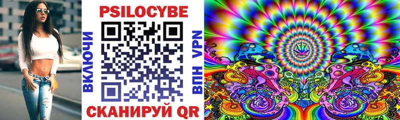 купить   Закаменск  hydra зеркало  Галлюциногенные грибы Magic Shrooms 